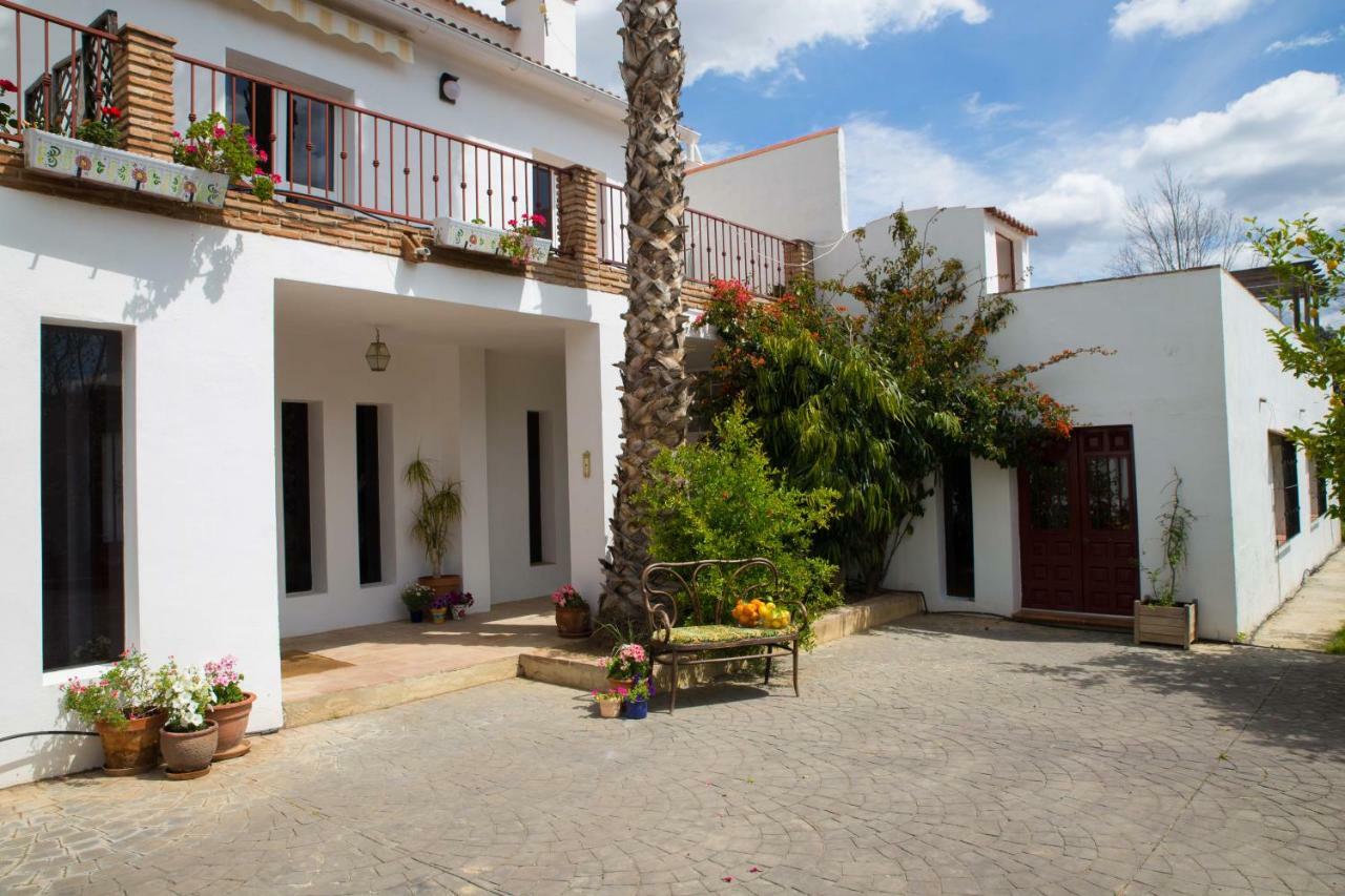 Fuego Blanco Alora Exterior photo